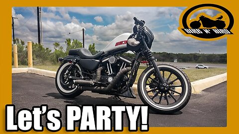 Reveal Party Scouting - Harley Davidson Iron 883 Sportster