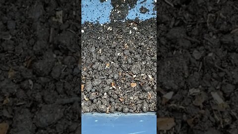 Jarring deviation from my usual content, but…any compost experts out there? #compost #compostbin