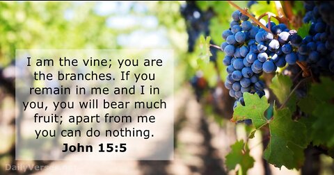 March 12 Devotional - Bear Fruit Connected to the Vine - Tiffany Root & Kirk VandeGuchte