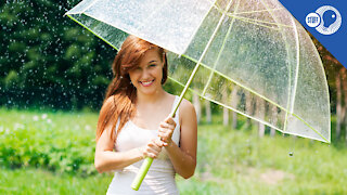 Stuff of Genius: Better, Faster, Stronger... Meet the Modern Umbrella