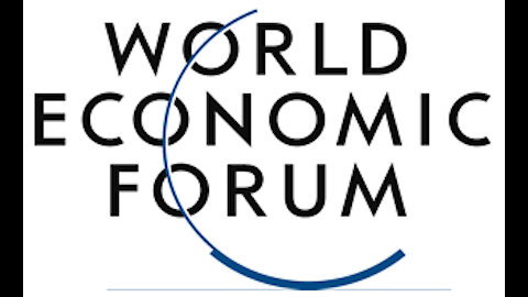 The World Economic Forum and the Connections to the Forum for Young Global Leaders