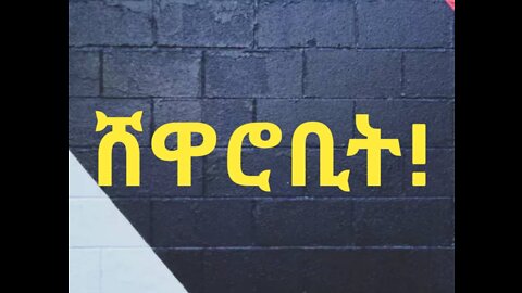 በሸዋሮቢት የተከፈተው አዲሱ ጦርነት - ቦታው ላይ ከሚገኝ ከሸዋ ፋኖ አንደበት