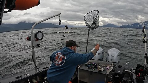 We need halibut before winter