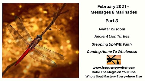 February 2021+ Marinades (Part 3): Avatar Wisdom, Ancient Lion Turtles, & Stepping Up With Faith