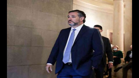 Ted Cruz Slams Biden on Inflation, Immigration