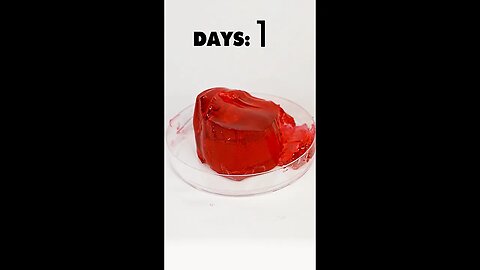 Wobbly Red Jell-O