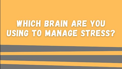 Which Brain Are You Using To Manage Stress?