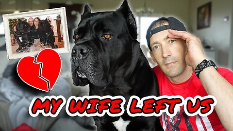 My Wife Left Us - My Dog's Are HEARTBROKEN Corso REHAB