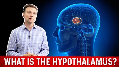 What is the Hypothalamus and its Function? – Dr. Berg