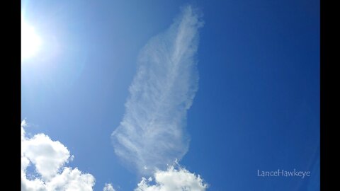 Crazy Cloud Cam | Image Set 056 | Feather