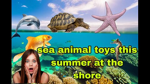 Sea animals toys this summer at the shore