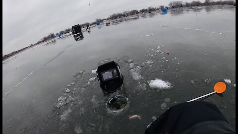 INSANE Yellow Perch Bite!