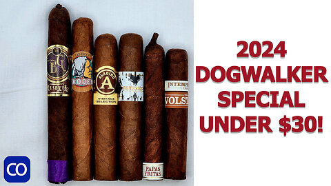 New 2024 Dogwalker Special!