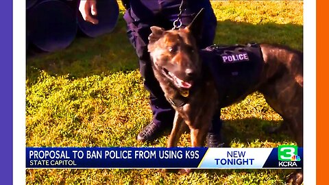 California To Ban Police Dogs Due To R4cism 🟠⚪🟣 NPC Crime