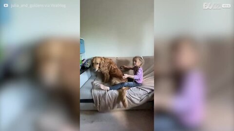 Ce chien a passé le test de la confiance