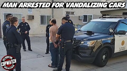 Man Arrested for Vandalizing Cars | Copwatch