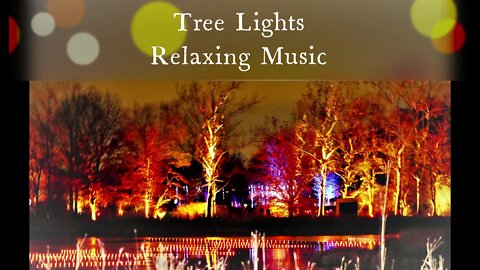 Tree Lights: Relaxing Music - Indian Sitar Relaxing, Peaceful, and Calm