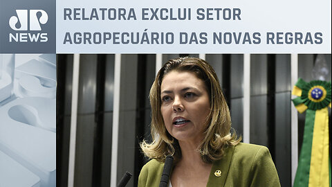 Comissão de Meio Ambiente vota mercado de carbono nesta quarta (04)