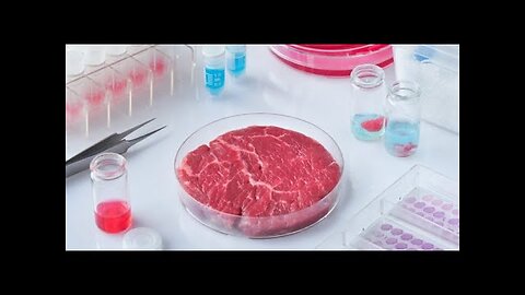 LA CARNE SINTETICA FATTA IN LABORATORIO UTILIZZANDO LA BIOLOGIA SINTETICA il problema non è che parlano di sola carne animale fatta in laboratorio e venduta nei supermercati ma anche di carne umana sintetica venduta nei negozi cioè di cannibalismo