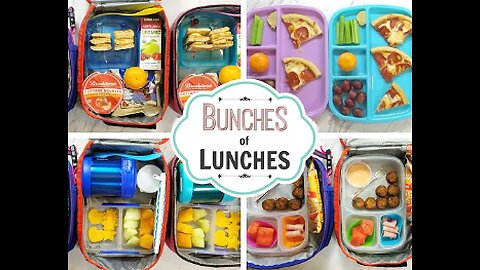 School Lunch Ideas 🍎 What They Ate