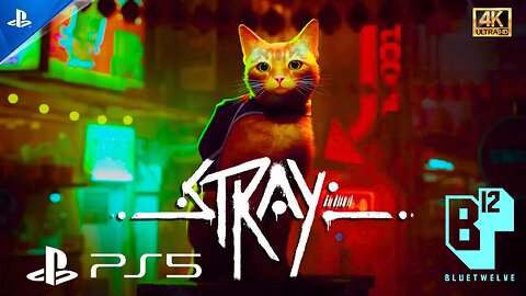 STRAY | Next GEN Ultra Realistic Graphics | Walkthrough | Gameplay 4K 60fps