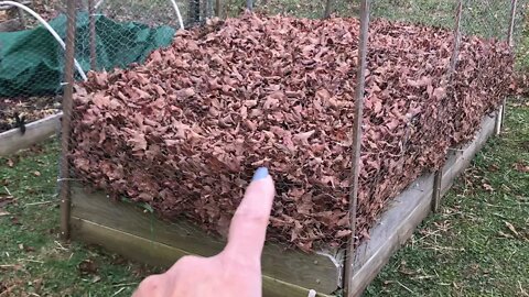 Leaf mulch, leaf compost, leaf piles!