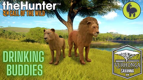 Drinking Buddies, Vurhonga Savanna | theHunter: Call of the Wild (PS5 4K)