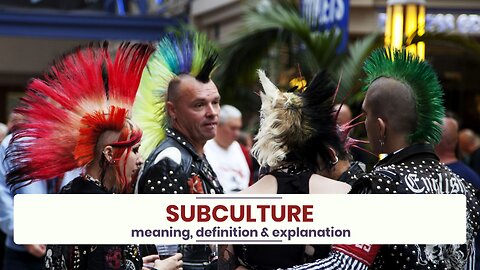 What is SUBCULTURE?