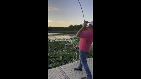 Frog fishing in michigan