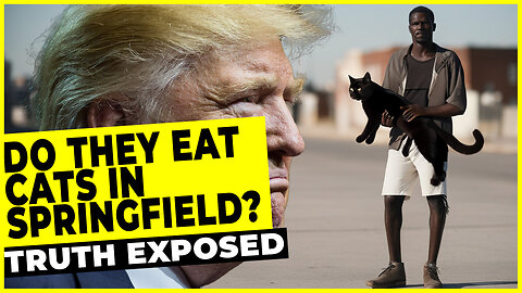 Springfield's Hidden Crisis: Haitian Migrants and the Eating of Dogs and Cats