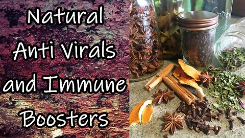 Natural Antivirals and Immune Boosters