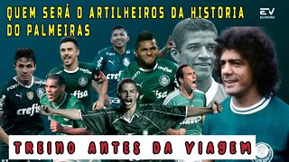 ✅QUEM SERÁ O ARTILHEIRO DA HISTÓRIA DO PALMEIRAS,PREPARAÇÃO ANTES DA VIAGEM⚽.#artilheirosdopalmeiras