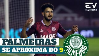 Palmeiras avança pela contratação | Cada Vez Mais Próximo do 9 #palmeiras #lanus