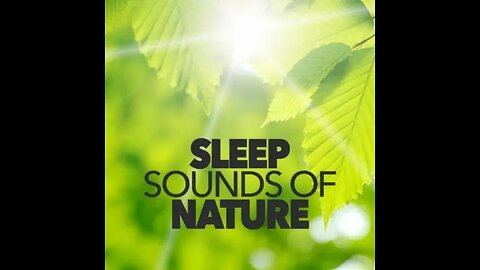 Relax 🧘‍♂️ Chill 🧊 Sleep 😴 Sounds with Nature. 🌱