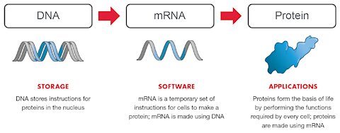 COVID BOMBSHELL! mRNA Vaccine Injects ‘Operating System’ into Body, 'Software of Life' Tech!