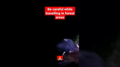 Be careful while travelling in forest areas 🙏 #viralshort #viral #viralvideo #viralshorts #shorts