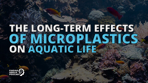 The Long-Term Effects of Microplastics on Aquatic Life