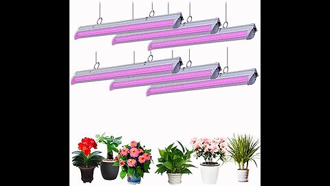 Grow Light, 2ft T8,100W(4 x 25W, 600W Equivalent), Super Bright, Full Spectrum Sunlight Plant L...