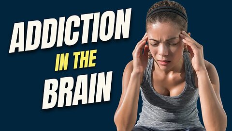 Your brain during addiction? Anna Lembke, MD