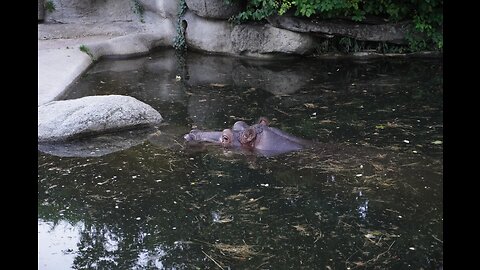 Karlsruhe Zoo