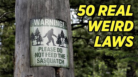 Bizarre Laws in All 50 States