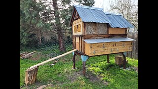 Chicken coop build