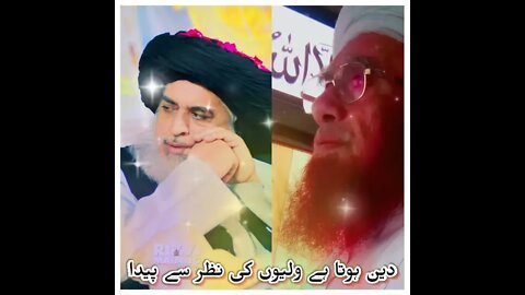 ameer ul mujahidin | peer o murshid mubarakk || #short |