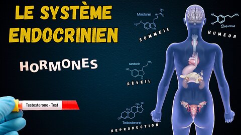 SORTONS DE LA MATRICE: LE RÔLE DU SYSTÈME ENDOCRINIEN ET SES PATHOLOGIES