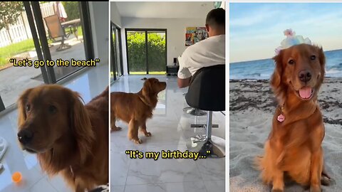 Giving my dog her dream birthday! 🎉