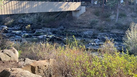 The view from my hotel room in Bend