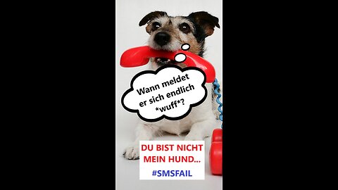 🐶📱„Bald bin ich daheim, Kleiner! Oh...hallo Mama...”🤣 #netzperlen #smsfail #fail