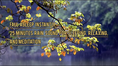 Fall Asleep Instantly- 25 Minute Rain Sound For Sleeping, Relaxing, And Meditation