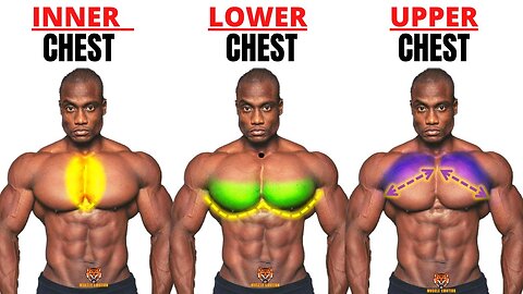 TOP 5 INNER ,LOWER AND UPPER CHEST WORKOUT AT GYM / Meilleurs exs Musculation poitrine .