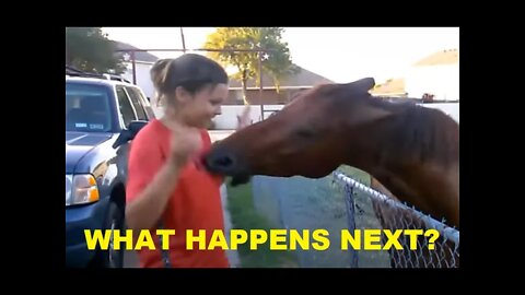 Little Girl Teaching Horse Bad Lessons Because No One Teaching How Horses Think